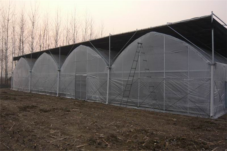 营口 育苗连栋薄膜温室大棚建造 承接全国业务