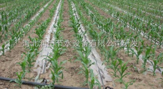 灌溉节水滴灌带滴灌管在农业上的运用