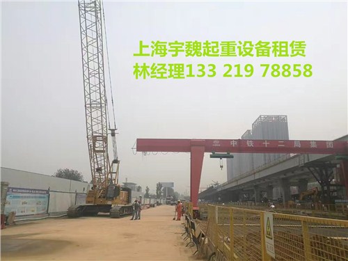 上海履带吊出租公司 上海180吨履带吊 上海吊车 上海宇魏供