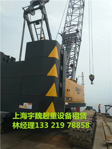 浙江100吨吊车出租公司 温州200吨吊车 50吨吊车 上海宇魏供