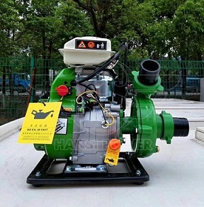 泸州市2寸汽油机离心泵手提式抽水机