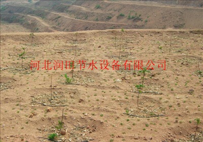 泸州市合江县果树滴灌小管出流系统产品多少钱