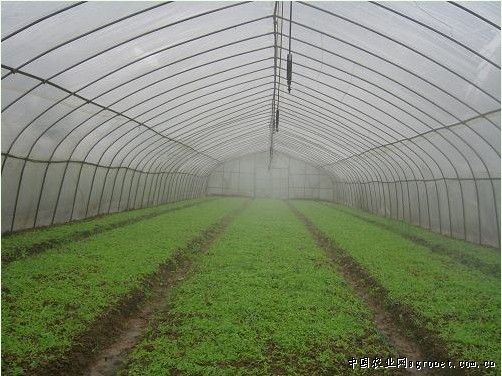大棚温室吊悬微喷组合价格