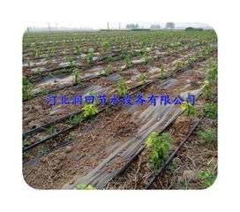 良心厂家给你提供实惠好产品