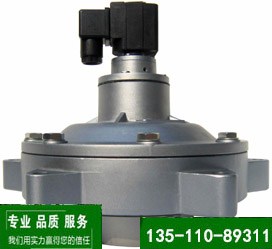 淄博电磁脉冲阀|淄博电磁脉冲阀批发|淄博电磁脉冲阀厂|蓝昊供