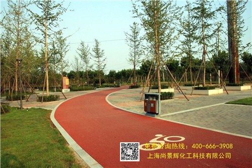 彩色自行车道 骑行绿道 公交车彩色专用道 尚景辉供
