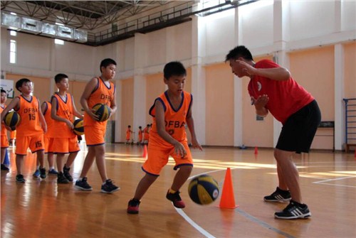 深圳篮球教育培训 深圳篮球教育培训 篮球培训 顶峰供