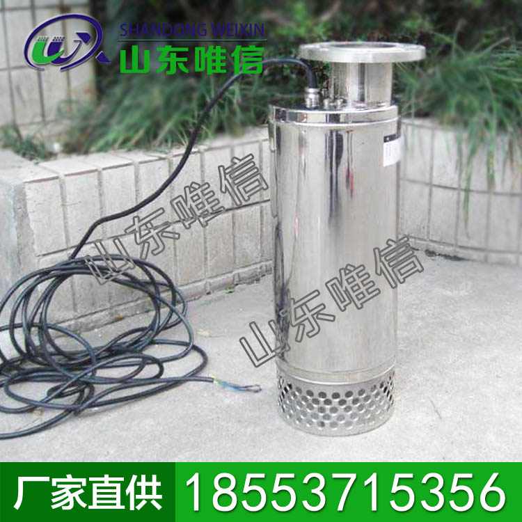 2.2KWBQS防爆潜水泵            2.2KWBQS防爆潜水泵特点               2.2KWBQS防爆潜水泵厂家直销