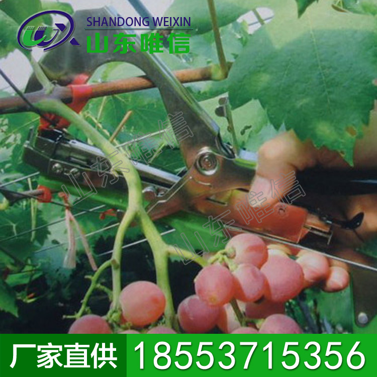 绑枝机            绑枝机厂家直销             欢迎选购