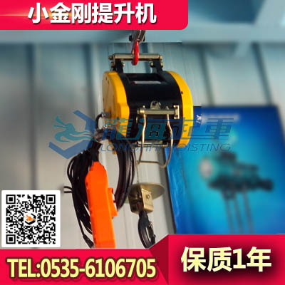 小金刚提升机DU-250A，优质台湾进口小金刚提升机采购