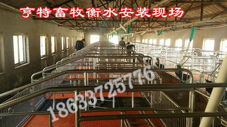 河南新乡铸铁母猪产床单体猪床厂家质优价廉