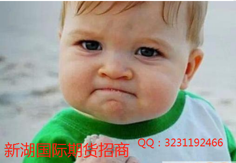 国际期货今日走势新湖国际期货【官网】
