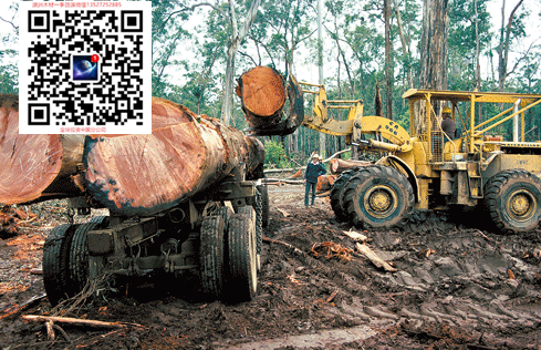 澳洲酸枝 红木家具澳洲酸枝木原木出口批发商