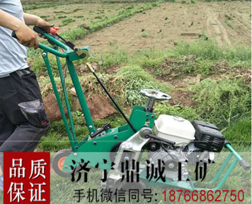 陕西商洛本田汽油草坪起草机草坪切块机 自走式铲草皮机 草坪移植机多少钱 园林绿化起草皮机
