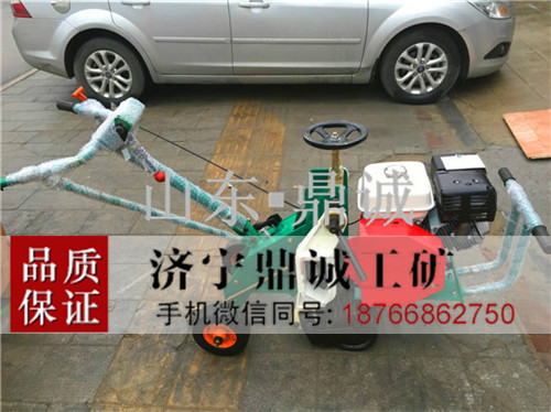 湖南株洲350汽油推进式草坪移植机 天堂草牧草起草机 高尔夫球场移植草坪机