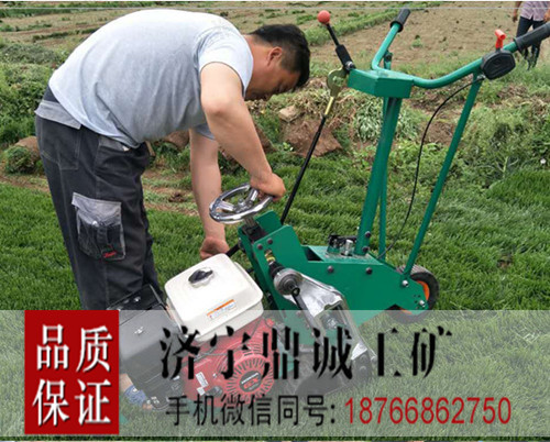 江苏苏州机械式四季青草坪移植机 高产 汽油起草皮机 本田汽油起草机价格 人工养殖草坪移植机