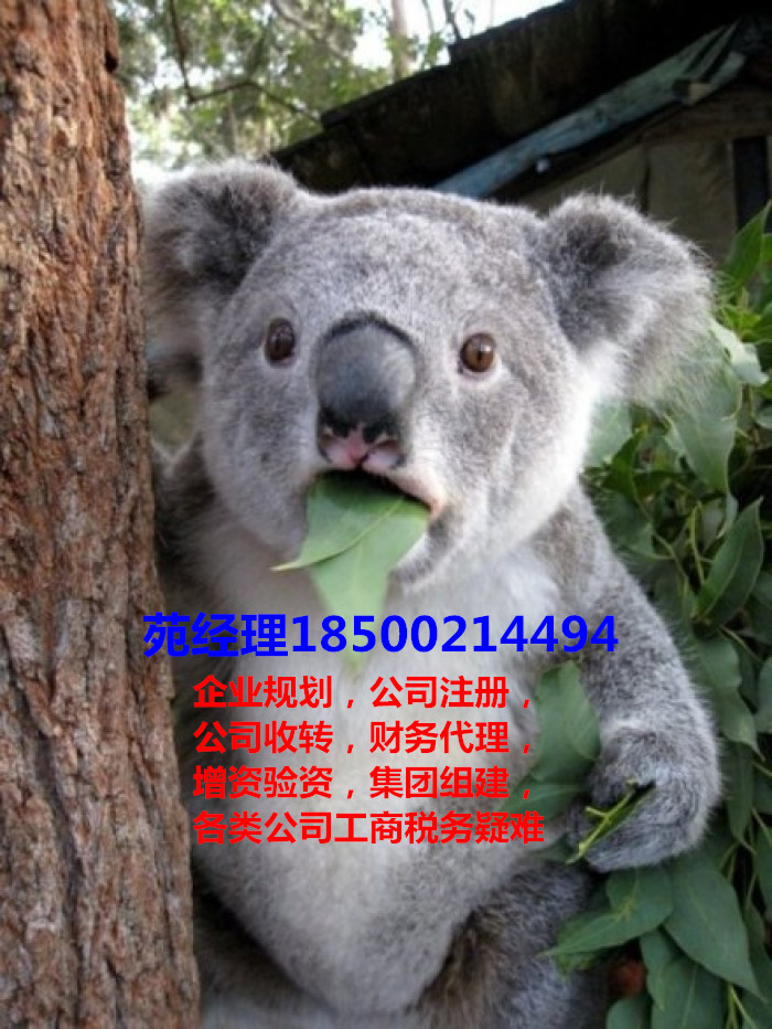 在北京开一个少儿培训公司需要什么证件
