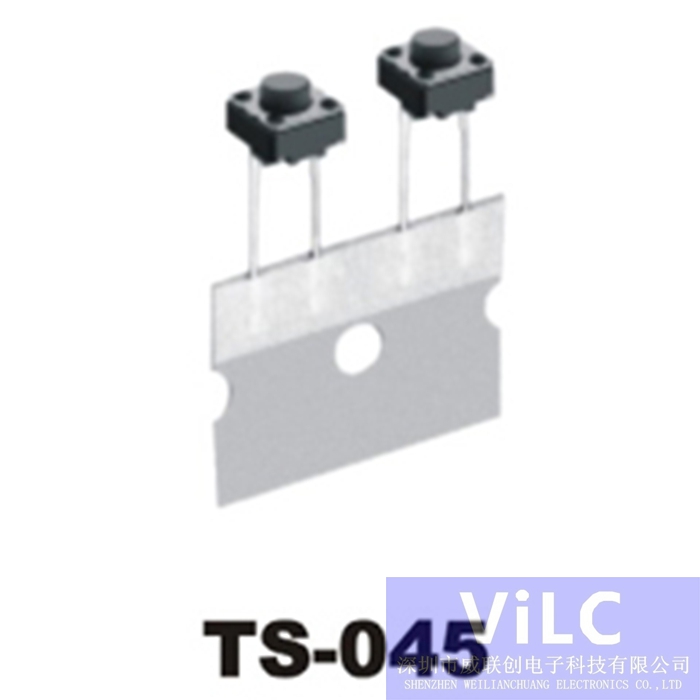 TS-045 直插型2P轻触开关 弹片开关 遥控开关