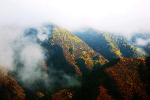 兰州暑假旅游租车去甘南|兰州暑假旅游租车小知识|庆源供