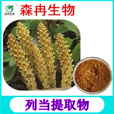 森冉生物列当提取物草苁蓉提取物现货热销