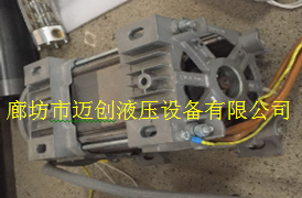 专业生产制造油浸式液压站意大利ELMO特殊电机