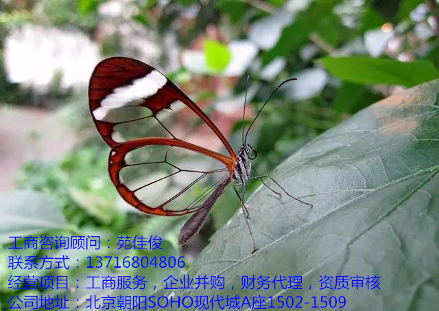 艺术类培训班开办条件需要哪些手续