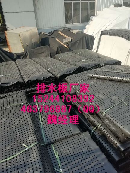 濮阳屋顶绿化排水板欢迎您15244108392防水卷材