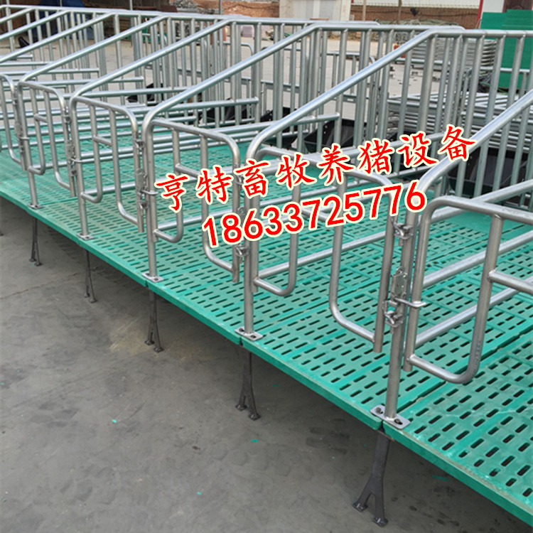 四川内江急需70宽复合定位栏母猪设备厂家发货