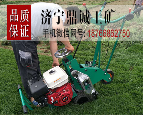 湖南永州汽油机动草场草坪移植机 手推式本田自走式起草皮机 自走式四季青果岭草马尼拉草铲草机 园林绿化起草机