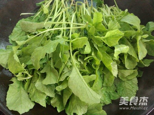 萝卜叶提取物 10:1 莱菔叶提取物 沃特莱斯供应 1公斤起订