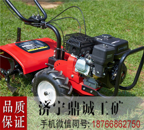 黑龙江齐齐哈尔手推式汽油微耕松土机 自走式果园菜地翻土旋耕机 小型土壤耕翻耕地机
