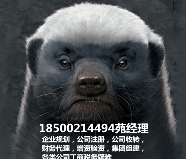 北京培训公司怎么办营业执照