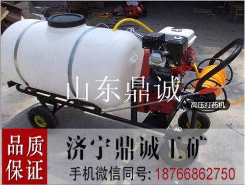 湖北武汉农场果园汽油高压打药机 手推式机动远程喷雾器 300L农药喷洒机 农作物防治病虫害打药喷雾器