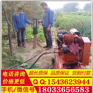 防汛植桩机 轻便压桩机 地基打桩机 汽油动力木头钢筋打桩锤 一拖三打桩
