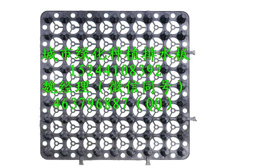 常德城市绿化15244108392种植排水板