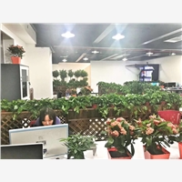 北京卡卡视界科技有限公司，一家专业致力于小投资的生意、有前