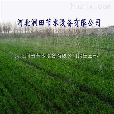 现代节水农业小麦微喷灌技术介绍