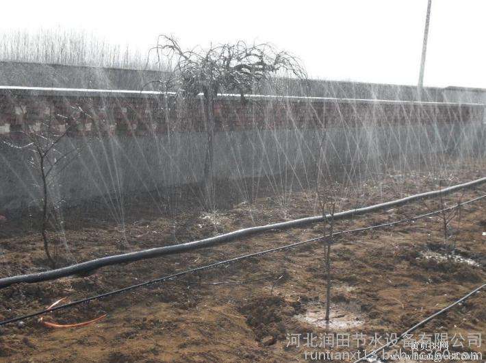 现代化灌溉节水技术柑橘微喷灌技术