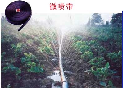 农业节水微喷灌技术的优点