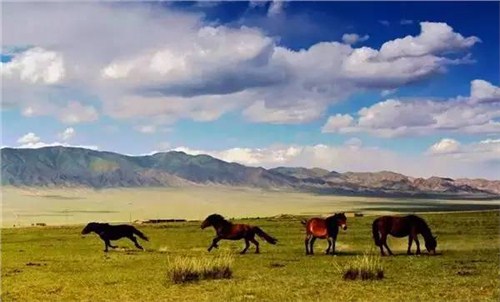 甘肃旅游租车遇到危险怎么处理|甘肃旅游租车商务车包车|庆源供