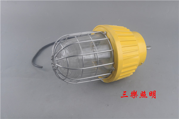 高亮度角度广LED泛光灯DGS70/127L