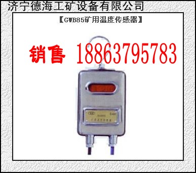 供应货真价实济宁德海牌GWB85矿用温度传感器