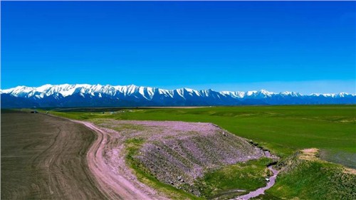 兰州租车的正规部门|甘肃旅游租车的流程|庆源供