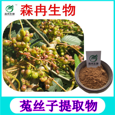 森冉生物菟丝子提取物菟丝实提取物现货热销