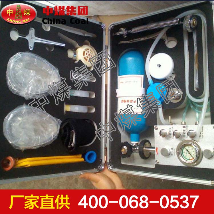 MZS-30型自动苏生器  MZS-30型自动苏生器定做