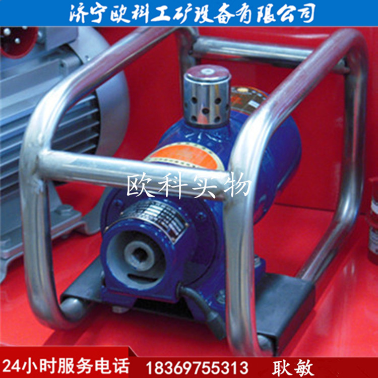 FRZ50风动振动器电动振动器汽油混凝土振动器