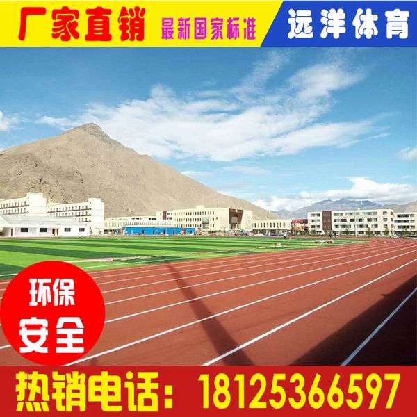 阳江混合型塑胶跑道|标准13mm混合型塑胶跑道每平米多少钱