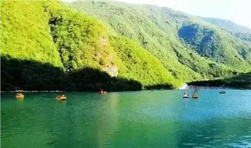 甘肃旅游货比三家做选择|甘肃秋季租车手续办理|庆源供