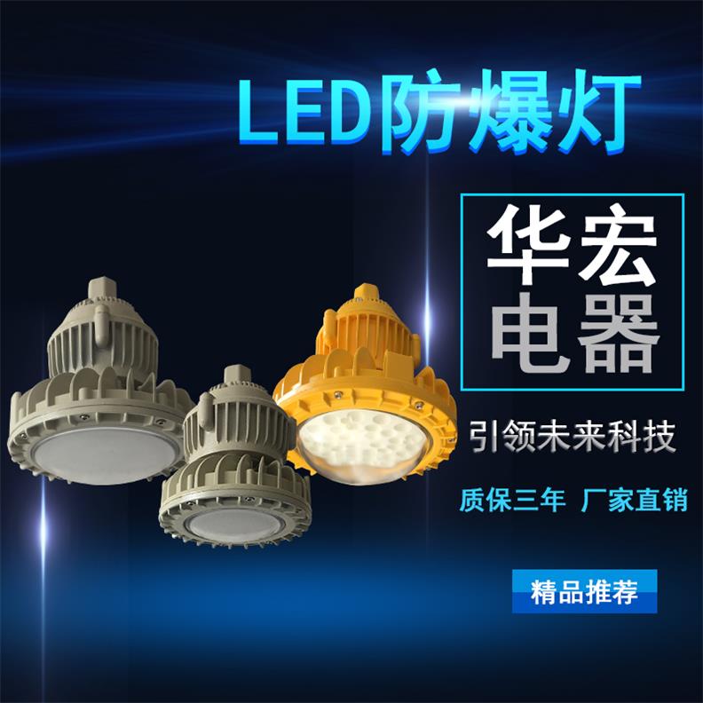 防爆LED节能灯 工厂防爆灯