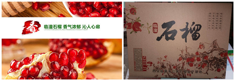 临潼全胜石榴 十月成熟欢迎购买